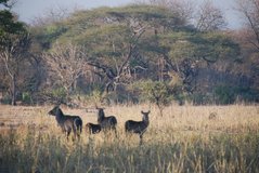 malawi2133