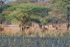 malawi2134