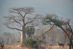 malawi2136