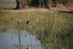 malawi2137