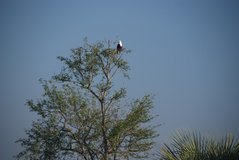malawi2138