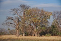 malawi2139