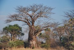 malawi2140