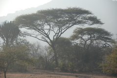 malawi2141