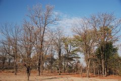 malawi2142