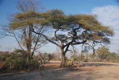 malawi2143