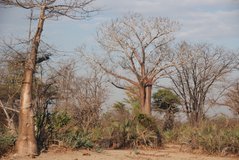 malawi2146
