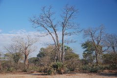 malawi2147