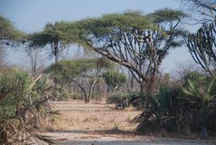 malawi2154