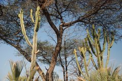 malawi2156