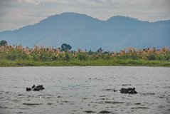 malawi3001