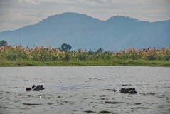 malawi3001