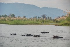malawi3002
