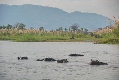 malawi3002