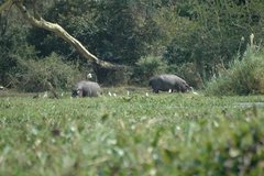 malawi3044
