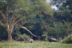 malawi3045