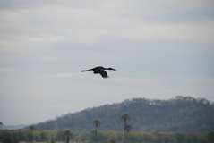 malawi3050