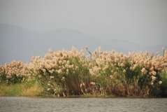 malawi3051