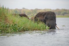 malawi3053