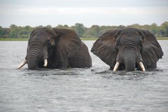 malawi3055