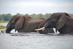 malawi3057