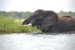 malawi3058
