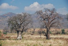 malawi3073
