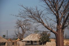 malawi3077