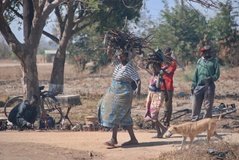 malawi3078