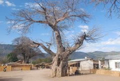 malawi4006