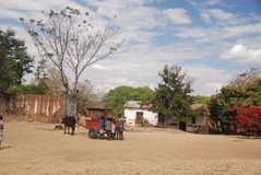 malawi5001