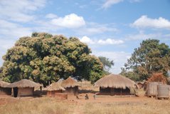 malawi5002