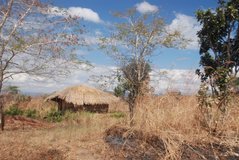 malawi5003