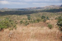 malawi5005