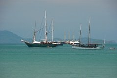 maleisie6019