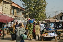 mali1016