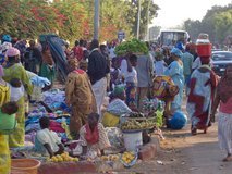 mali1019