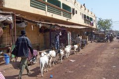 mali1025