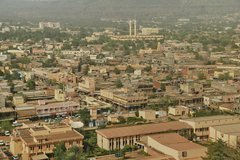 mali1029