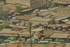 mali1031