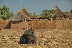 mali2004