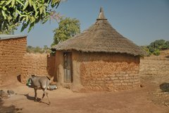 mali2007