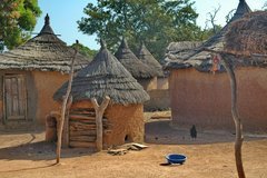 mali2010