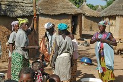 mali2011