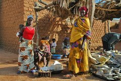 mali2036