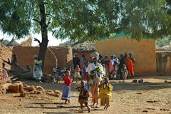 mali2043