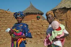 mali2045