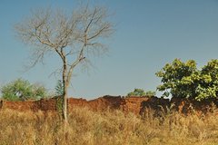 mali2048