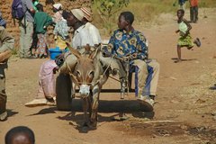 mali2058