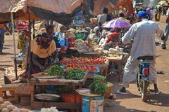mali2062